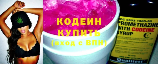 прущий лед Богданович