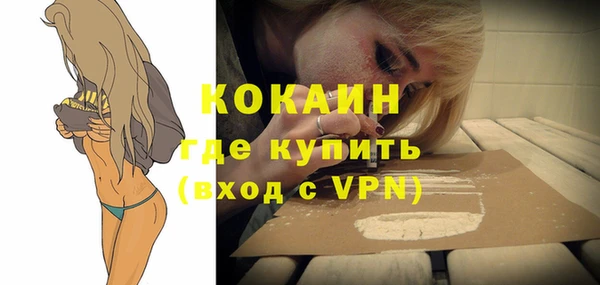 твердый Богородск