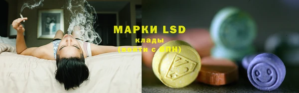 стафф Богородицк