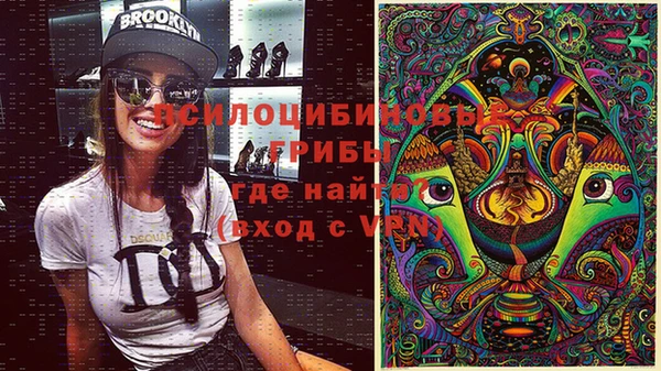 стафф Богородицк