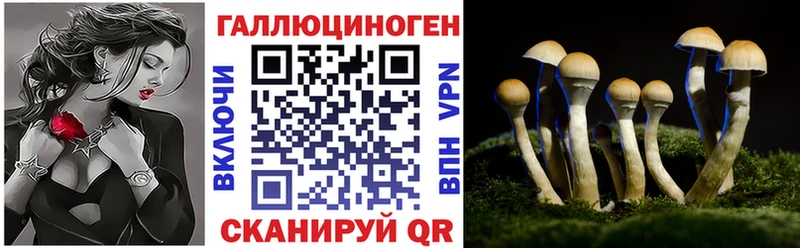 Галлюциногенные грибы Psilocybe  ссылка на мегу ССЫЛКА  Гурьевск 